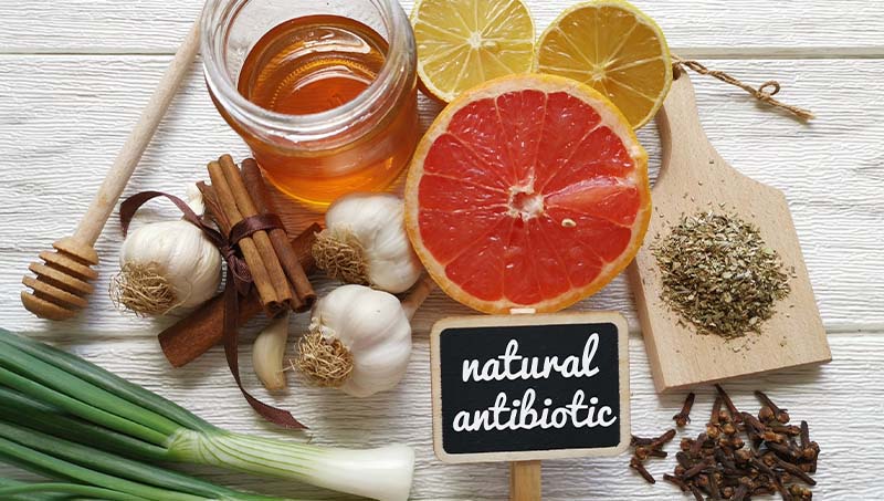A Ponderay Chiropractor at By Design Chiropractic explains 11 natural antibiotics