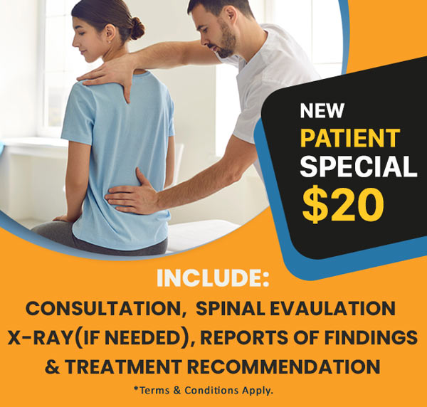 $20 Consultation, Movement Assessment, Spinal Examination, X-rays, and Report of Findings